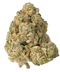 White Cherry Gelato THCa Strain