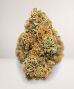 Venom OG – Greenhouse Indica Cannabis Flower