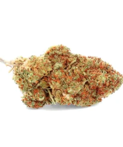 Banana Kush – Fleur de CBD – Easy Weed