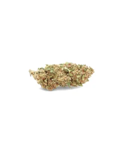 Blueberry – Fleur de CBD