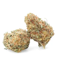 Critical + – Fleur de CBD