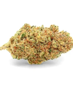 Critical Jack – Fleur de CBD – Ivory