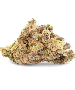 Durban Poison – Fleur de CBD – Ivory