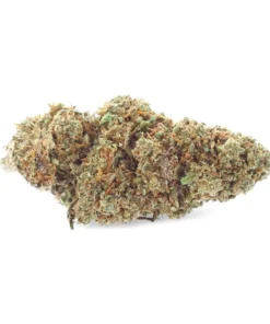 Harlequin 2.0 – Fleur de CBD – Easy Weed