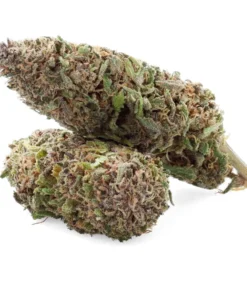 Legendary – Fleur de CBD