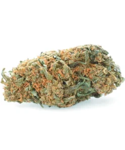 New York Cheese – Fleur de CBD