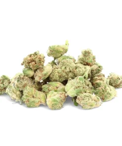 Pop Corn Indoor – Fleur de CBD