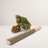 The Froot – AA Indoor Sativa Cannabis Pre-Roll