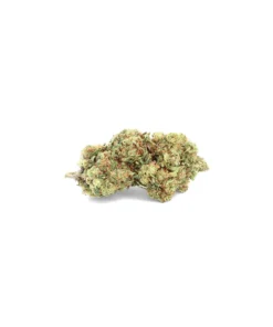 Purple Haze Premium – Fleur de CBD