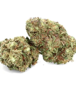 Royal Cheese – Fleur de CBD – Easy Weed