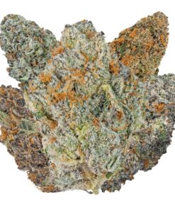 THCa Flower Sampler Bundle