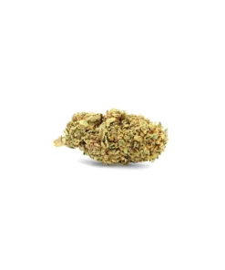 White Widow – Fleur de CBD